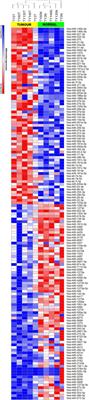 Integrated Characterization of MicroRNA and mRNA Transcriptome in Papillary Thyroid Carcinoma